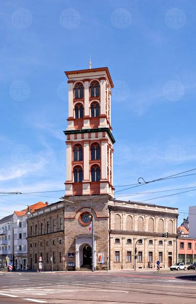 Dessau, Museum für Naturkunde und Vorgeschichte