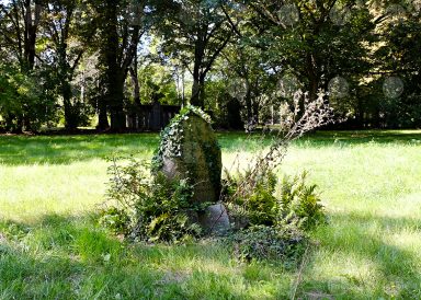 Leipzig Südfriedhof, Grab von Friedrich Bosse